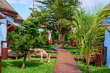 Photos of The Alkebulan Heritage Centre