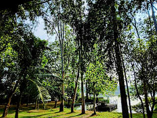 Photos de 