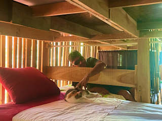 Hostal Un Mundo Homestayの写真