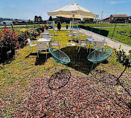 Photos of Albergue Melide