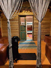 Photos of IYASHI artists abode