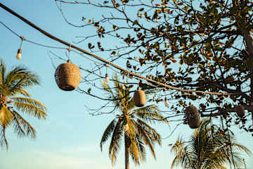 Koalama Cambodiaの写真