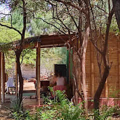 Photos of Wasi Center, Holistic and Mystic