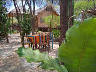 Photos of Wasi Center, Holistic and Mystic