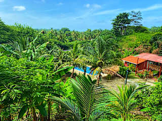 Photos of Zelandia Eco Finca
