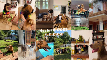 Bilder av