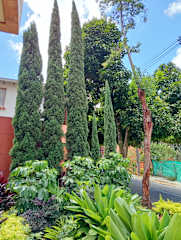 Photos of Hotel Lomas 10 by DICO