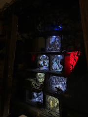 Foto di