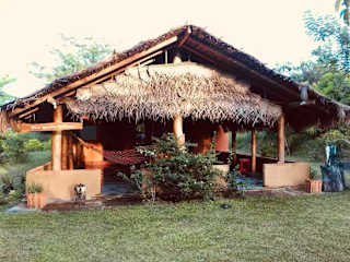 Foto di