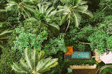 Photos of The Nest in Ubud