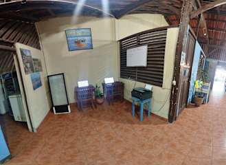 Fotos von
