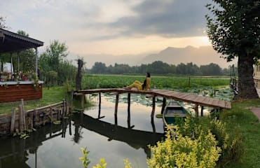 Bilder av 