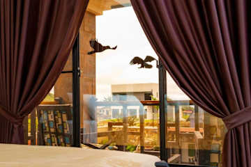 Photos of Luxury Canyon Suites