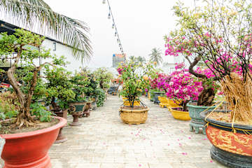 Fairy Hills Hotel의 사진