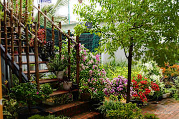 LoiLoi's Home - Mui Ne의 사진