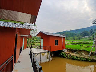 Foto di