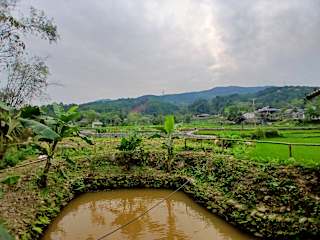 Foto di