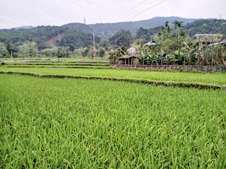Foto di