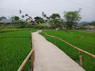 Foto di