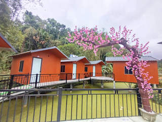 Foto di