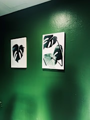 Bilder av 