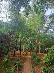 Photos de