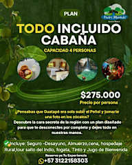 Photos de