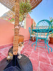 Fotos de Bubbly Hostel Marrakech