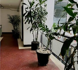 hotel villa nueva comfortの写真