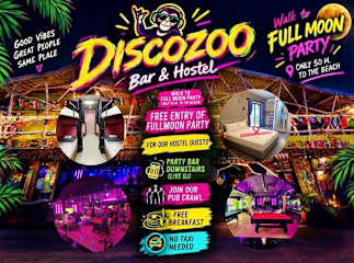 Photos of Disco Zoo Hostel