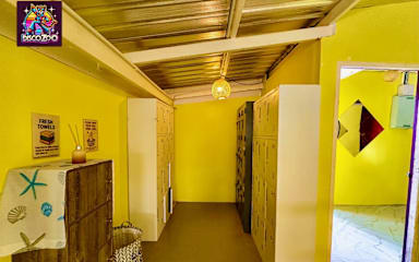 Photos of Disco Zoo Hostel