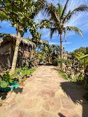 Photos of Laguna Surf Camp