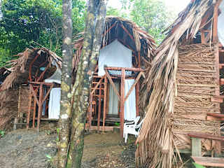 Fotos de Nativo home