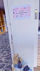 Economy Class Hostel의 사진