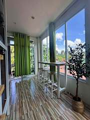 Photos of Khaosok Center Hostel