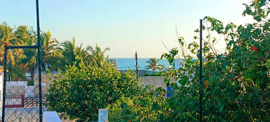 Jacque's Beachside Hostel의 사진