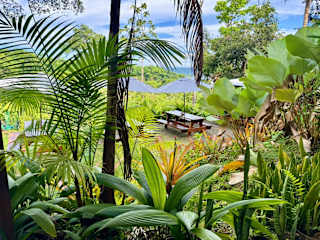 Svastha | Yoga & Ayurveda Cafeの写真