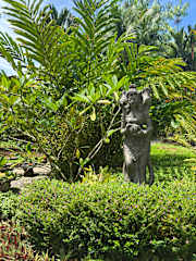 Svastha | Yoga & Ayurveda Cafeの写真