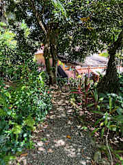 Svastha | Yoga & Ayurveda Cafeの写真