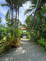 Svastha | Yoga & Ayurveda Cafeの写真
