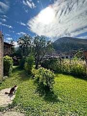 Photos of Hostel La casa de Ricky