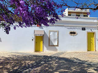 Photos of Lemon Tree Urban Camping