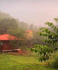 Leafyden Forest Cottages By Nature Hillsの写真
