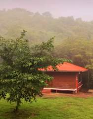 Leafyden Forest Cottages By Nature Hillsの写真