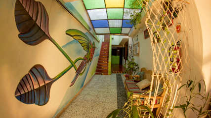 Fotos de Ruta Alterna Ecotours & Backpacker