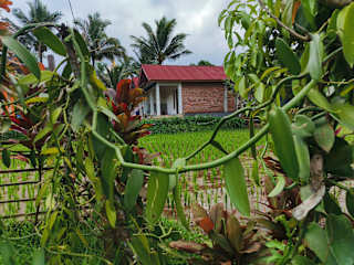 Fotos de Vaniglia House Tetebatu