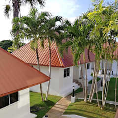 Fotky