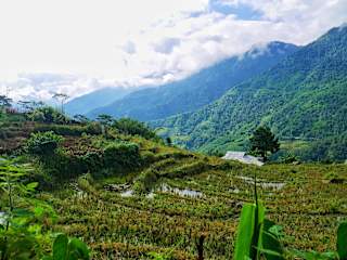 Photos of Lee's Charm Homestay