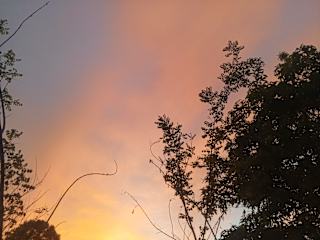 Fotos de