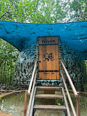 Photos of Cenote Spazi-Ha